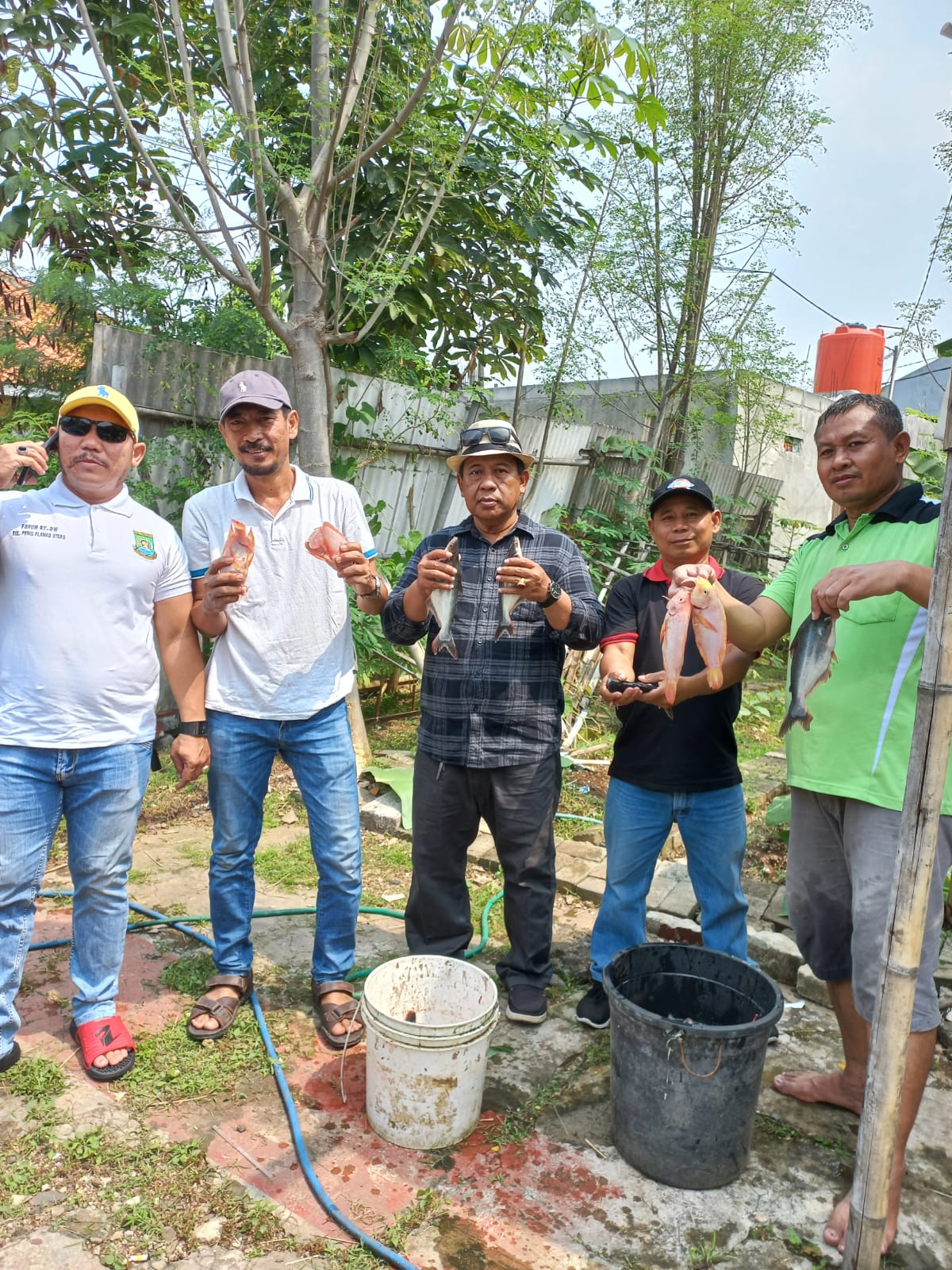 Panen Perdana Budidaya Ikan Patin KWT Seroja RW.006  P