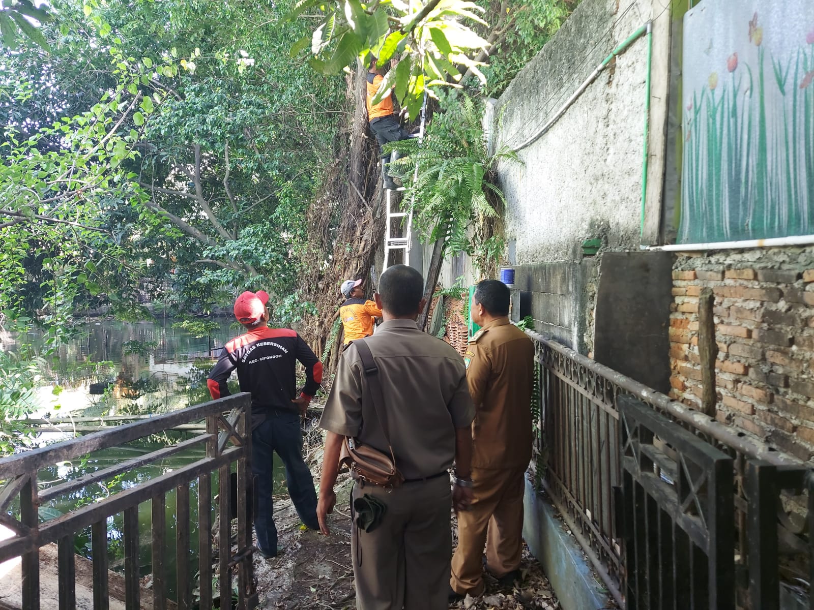 Pelaksanaan Pemangkasan Pohon di RT.001 RW 004 Kelurahan Poris Plawad Utara